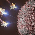 Звездообразные наночастицы могут помочь в борьбе с раком